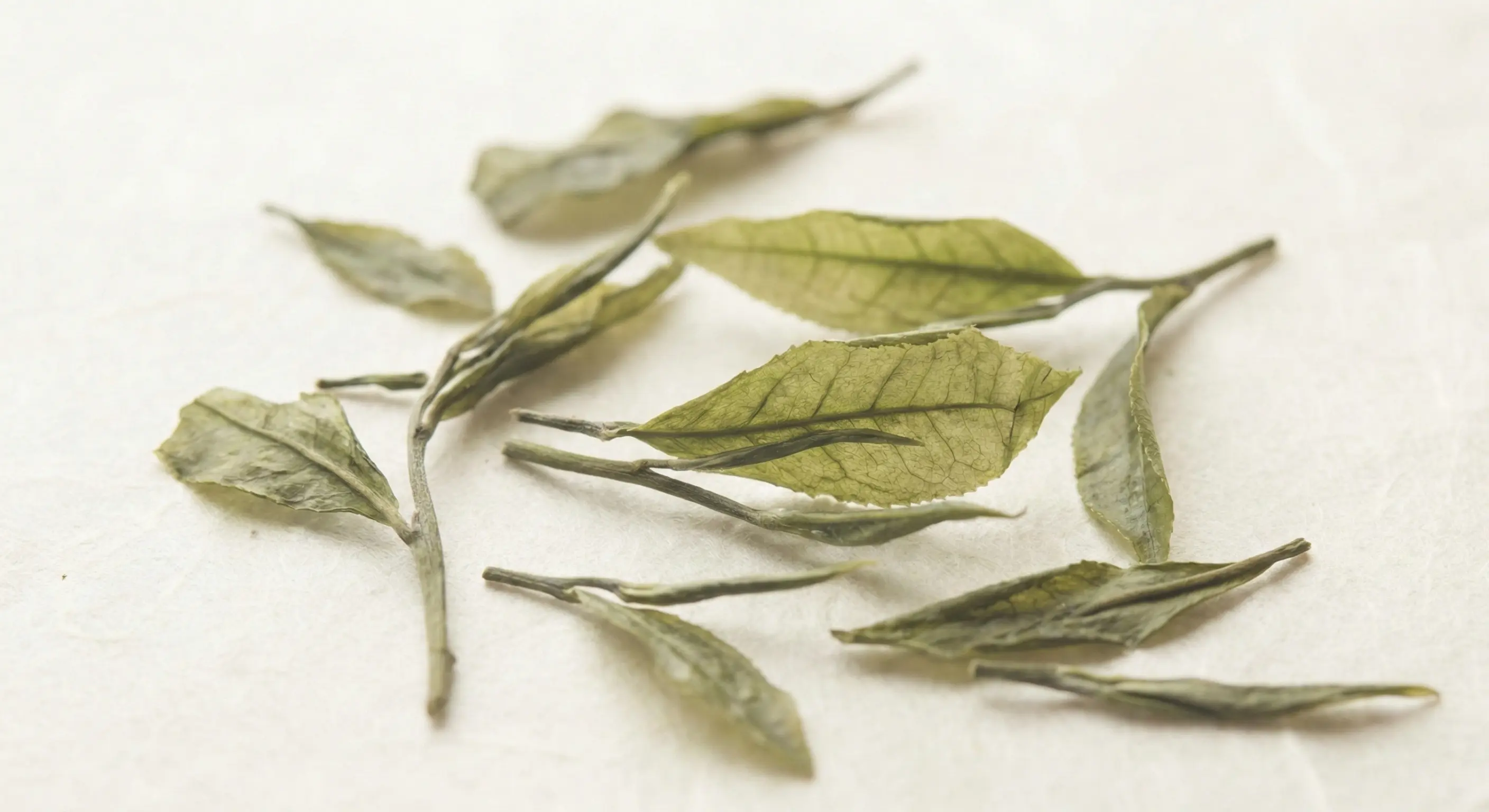 Tea Garden Pattern